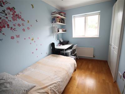 Picture 11